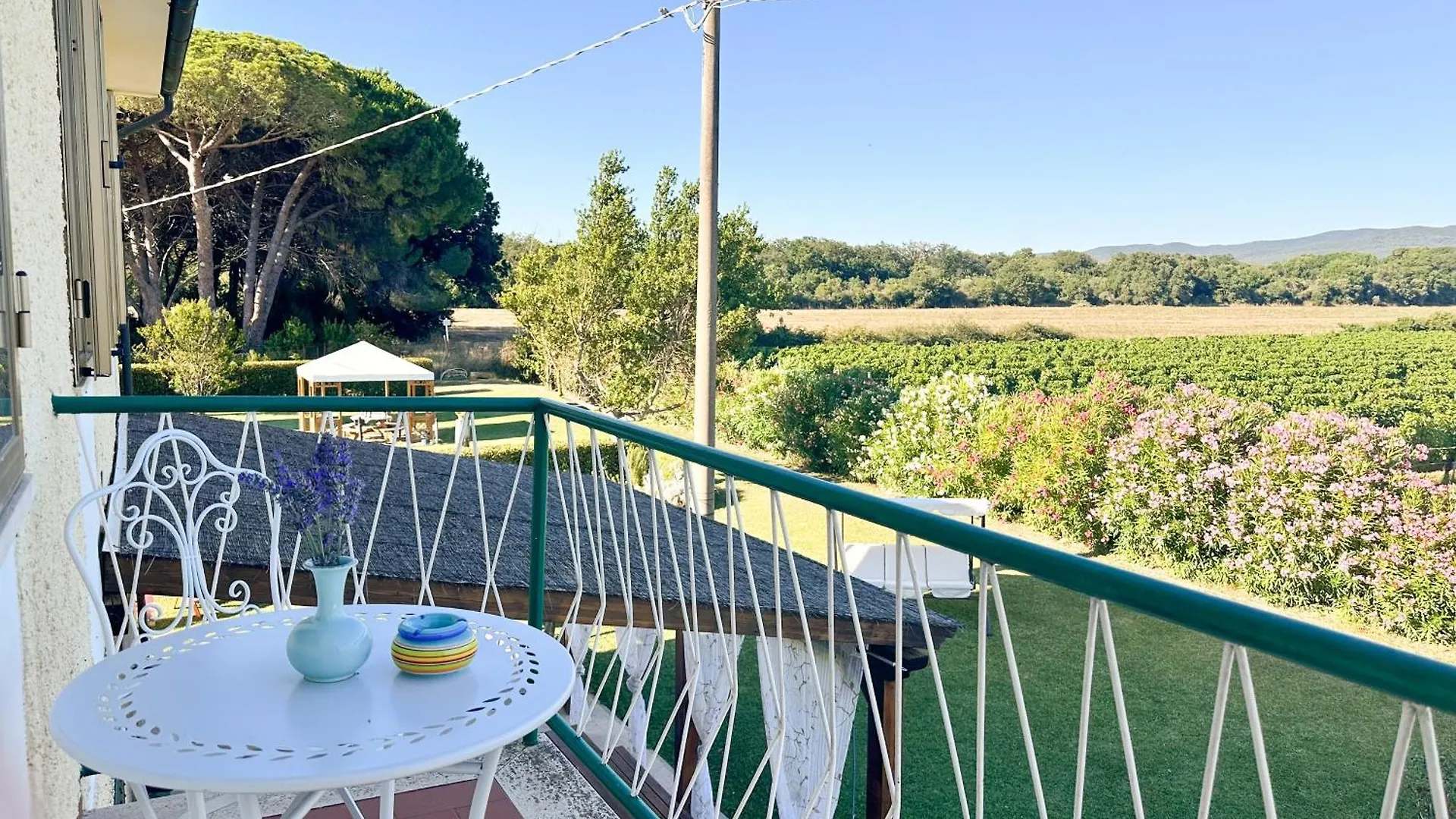 Agriturismo La Rondine Bolgheri Farm stay