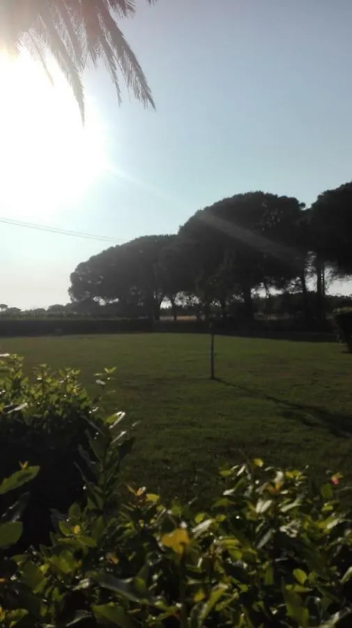 Agriturismo La Rondine Bolgheri